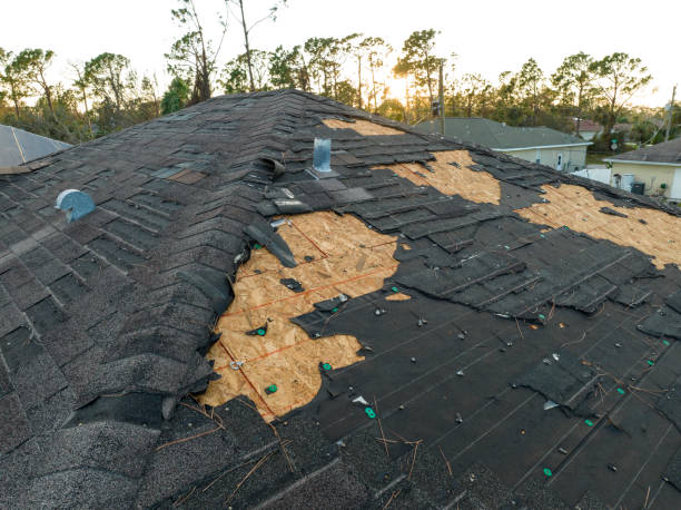 Best Green or Eco-Friendly Roofing Solutions  in North Arlington, NJ